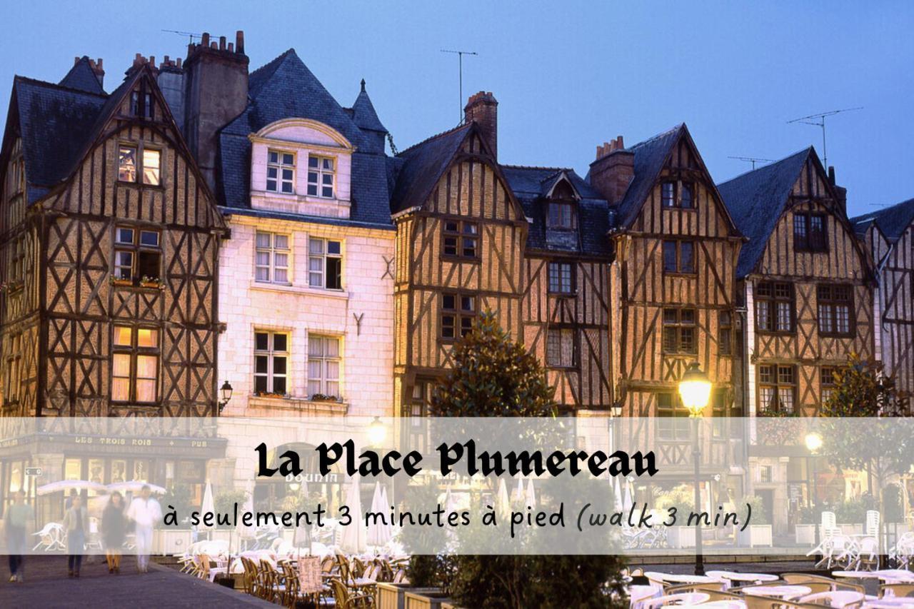 Apartment Le Saint-martin - Parking - Prestiplace Collection Tours